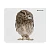 Коврик для мыши Defender Wild Animals 220x180x2мм ассорти (1/20/200)