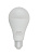 *Лампа светодиодная Старт GLS E27 20W 6500К 220V груша Eco матовая (1/10/100) 