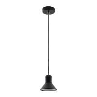 Светильник потолочный Camelion PL-602S Rome 40W 230V E27 подвес черный (1/12)